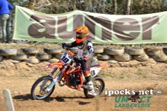 oem_-_auner_2-takt_157_20180408_1352070295