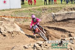 oem_-_auner_2-takt_28_20180408_1682268701