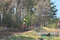 oem_-_auner_2-takt_295_20180408_1147762885