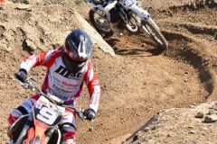 oem_-_auner_2-takt_33_20180408_1850520234