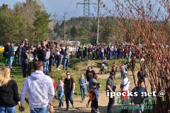oem_-_auner_2-takt_427_20180408_1287325860