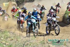 ama_119_20190406_1199935231