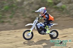 ama_163_20190406_1012227684