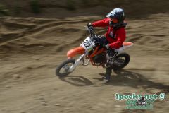 ama_175_20190406_1003587105