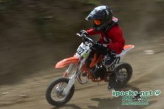ama_176_20190406_1205428513