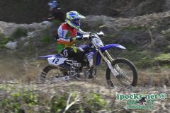 ama_208_20190406_1627852849