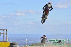ama_241_20190406_2061572068