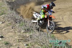ama_253_20190406_1585428387