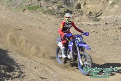 ama_265_20190406_1309248884