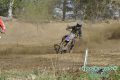 ama_290_20190406_1351162567