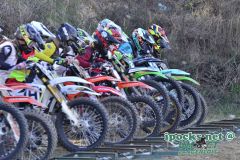 ama_336_20190406_1567261580
