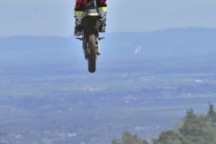 ama_48_20190406_1103438428
