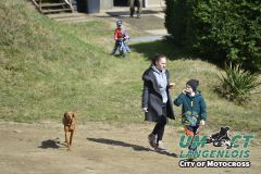 8005190_umct