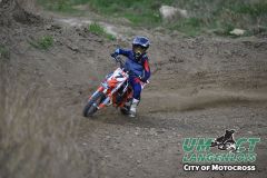 8005195_umct