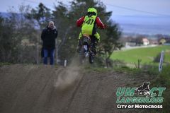 8005198_umct
