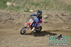 8005203_umct