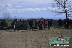 8005223_umct