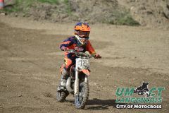 8005254_umct