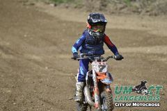 8005255_umct