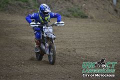 8005337_umct