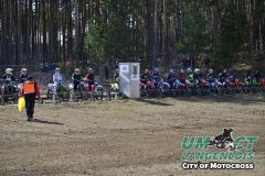 8005378_umct