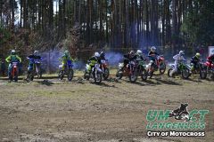 8005382_umct