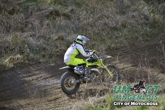 8005506_umct