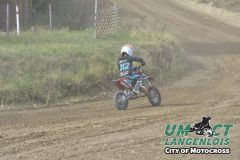 _8003733k.jpg